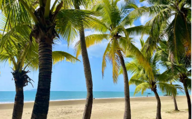 【海南4日遊】度假海岸（海景版）