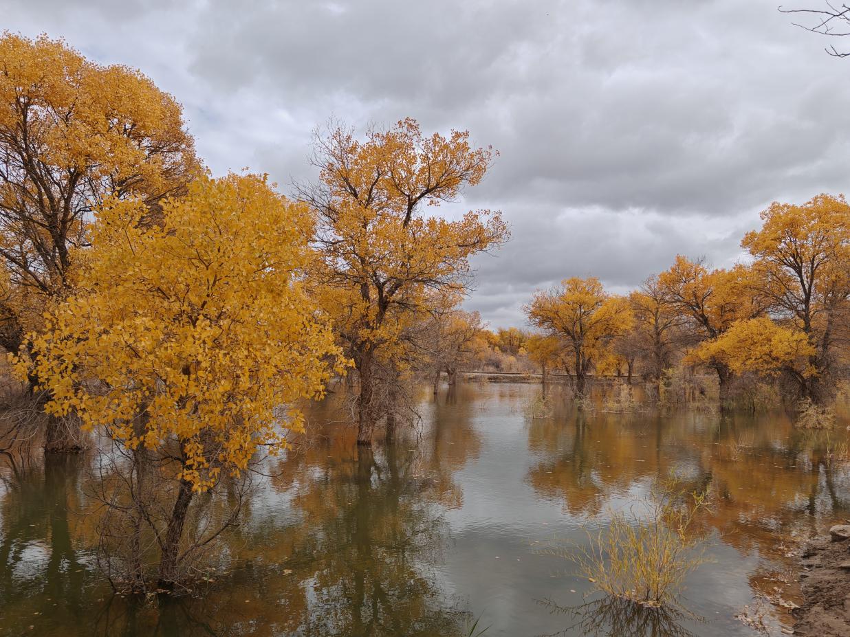 【雲南5日遊】【溫宿騰衝】保山芒市（shì）瑞麗騰衝五日